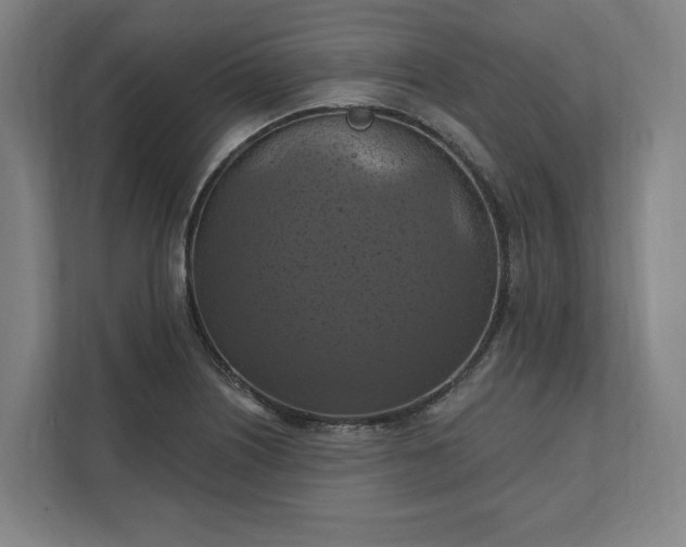 X0000112031226200908171444