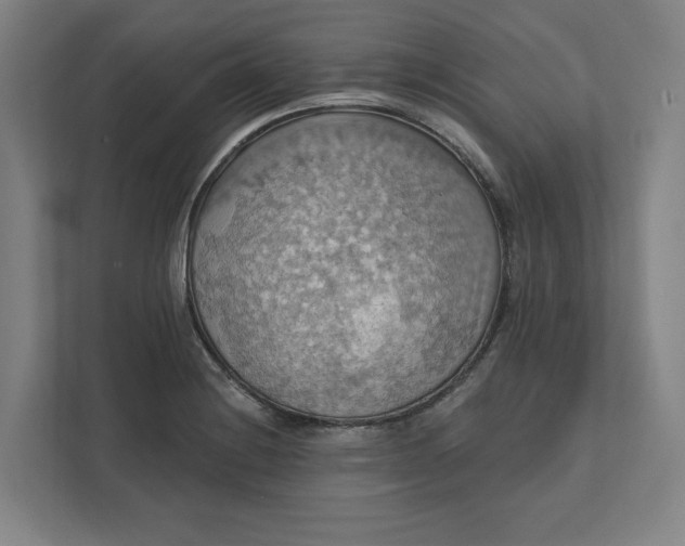X0000112031228200908171444