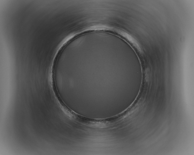 X0000112031229200908171444