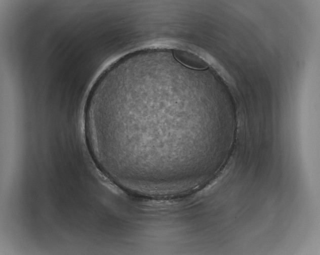 X0000112031232200908171444