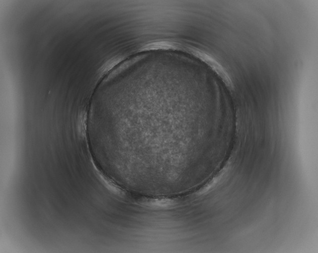 X0000112031233200908171444