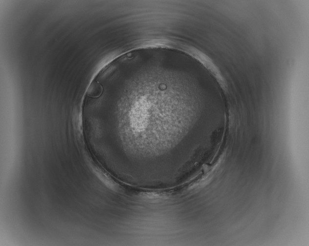 X0000112031234200908171444