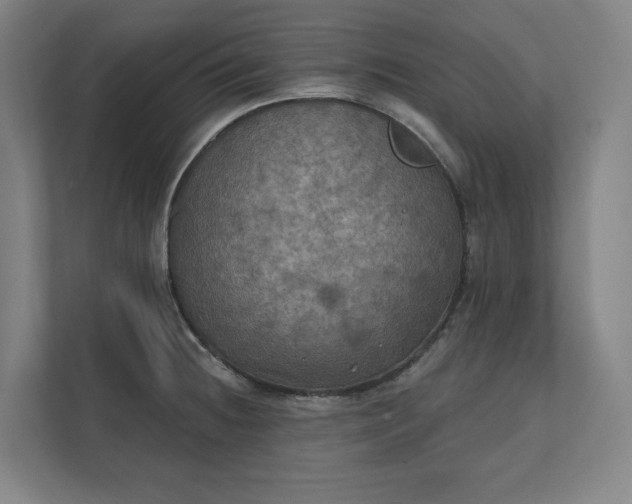 X0000112031236200908171444