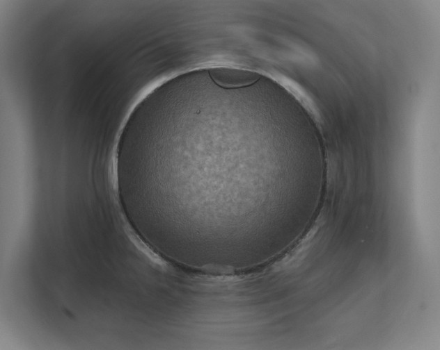 X0000112031238200908171444