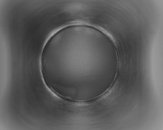 X0000112031239200908171444