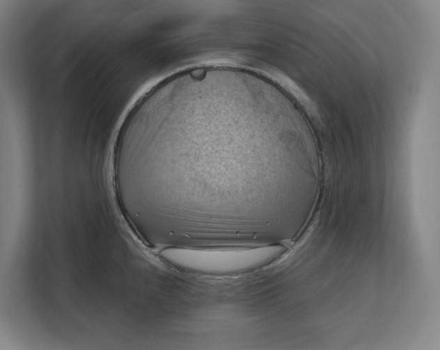X0000112031240200908171444