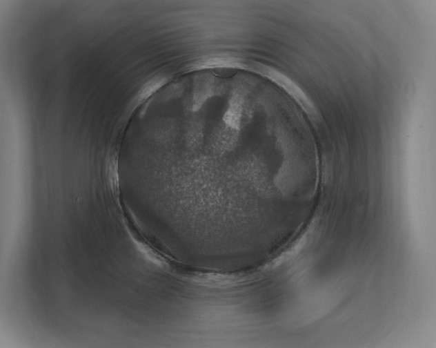 X0000112031241200908171444