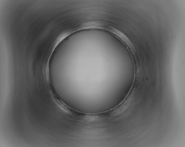 X0000112031242200908171444