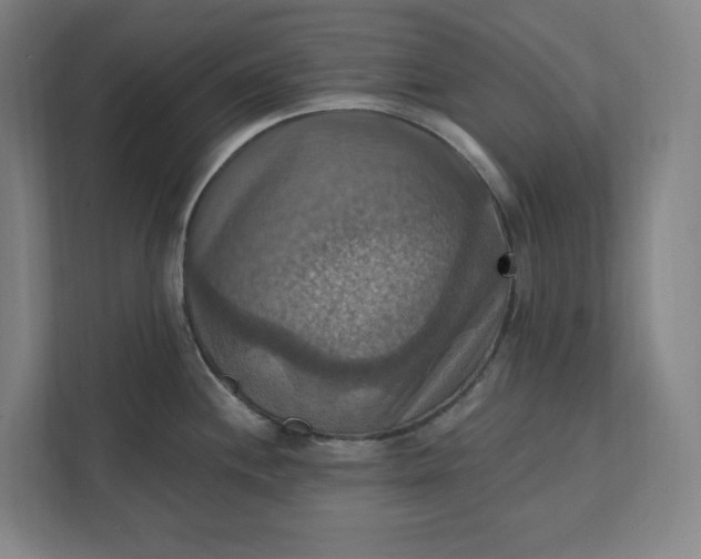 X0000112031244200908171444