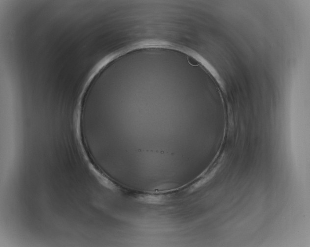 X0000112031245200908171444