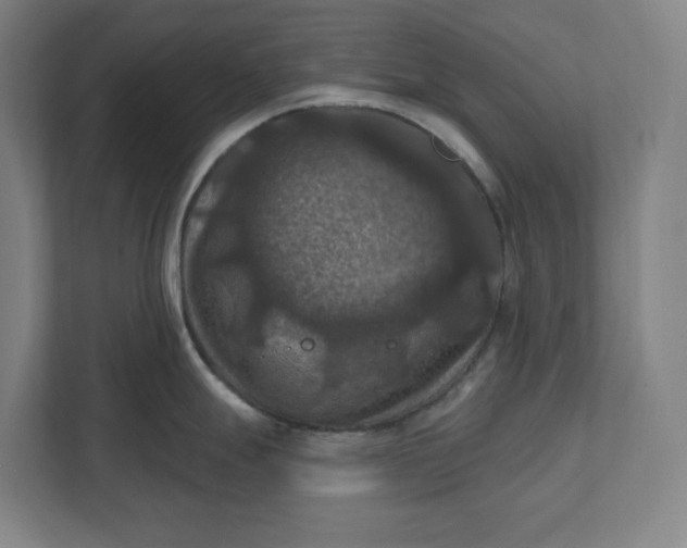 X0000112031247200908171444