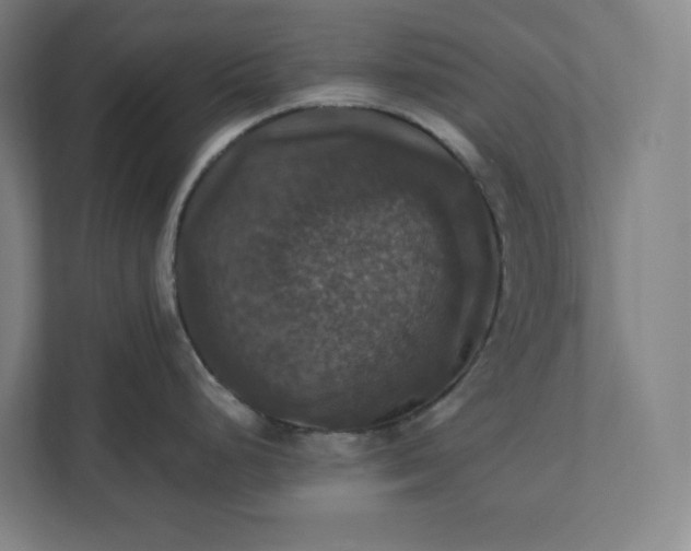 X0000112031248200908171444