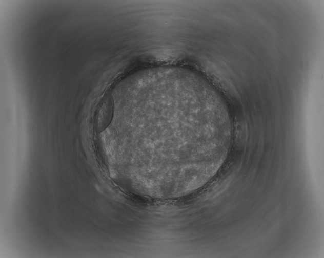 X0000112031249200908171444