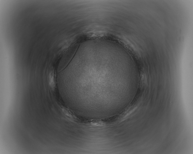 X0000112031250200908171444