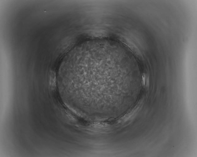 X0000112031251200908171444