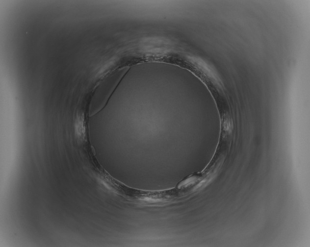 X0000112031252200908171444