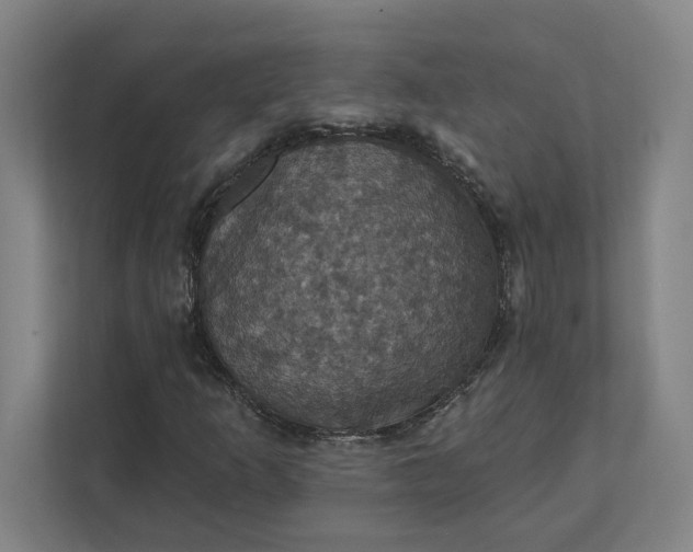 X0000112031253200908171444