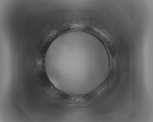 X0000112031254200908171444