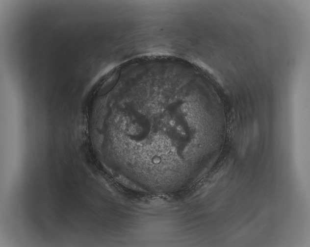X0000112031255200908171444