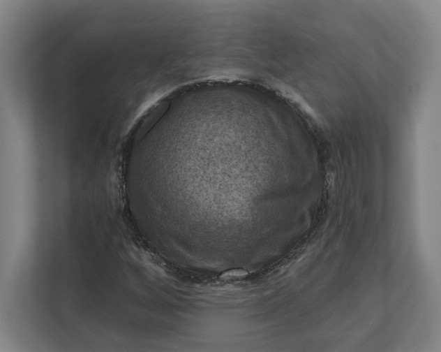 X0000112031256200908171444