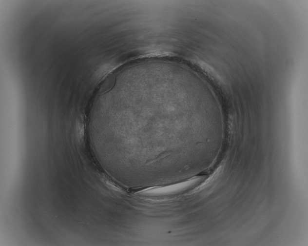 X0000112031257200908171444