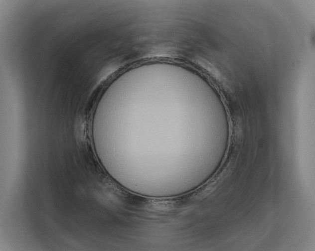 X0000112031258200908171444