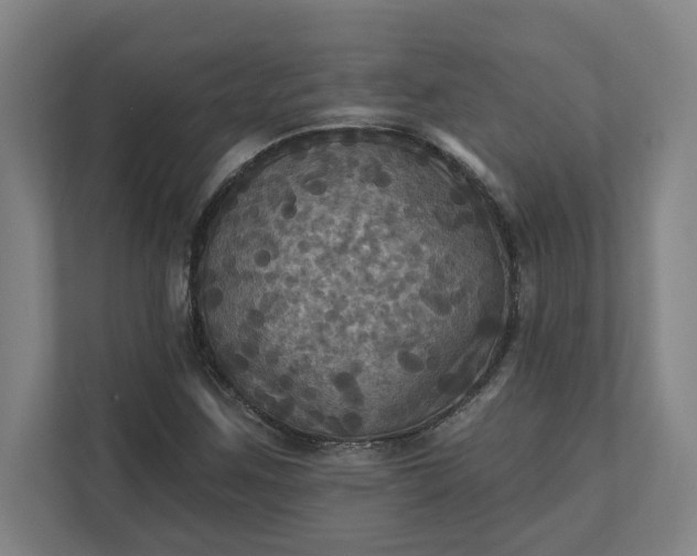 X0000112031259200908171444