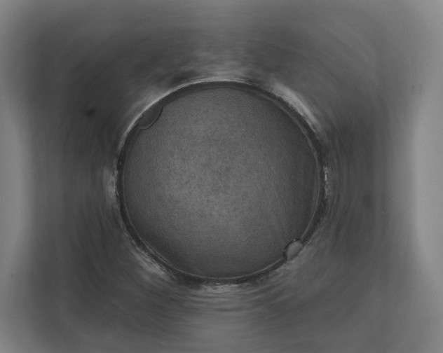X0000112031260200908171444