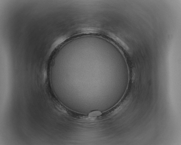X0000112031261200908171444