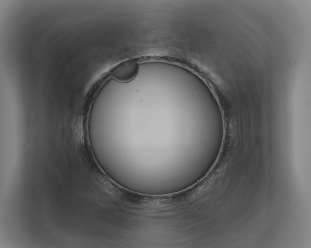 X0000112031262200908171444