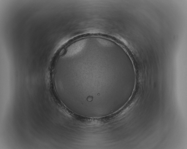 X0000112031263200908171444