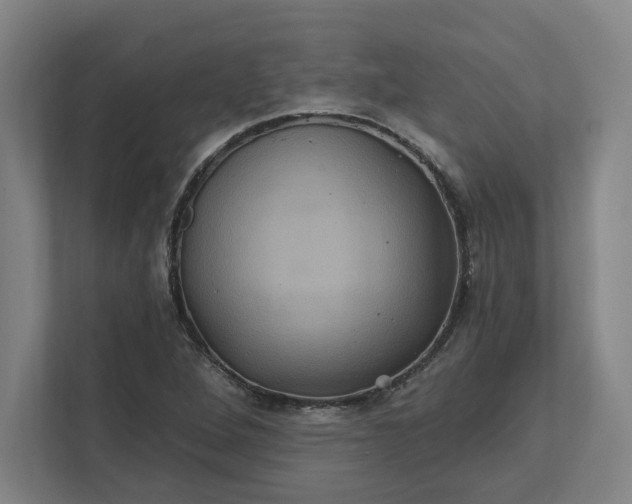 X0000112031264200908171444