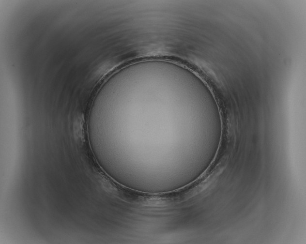 X0000112031265200908171444