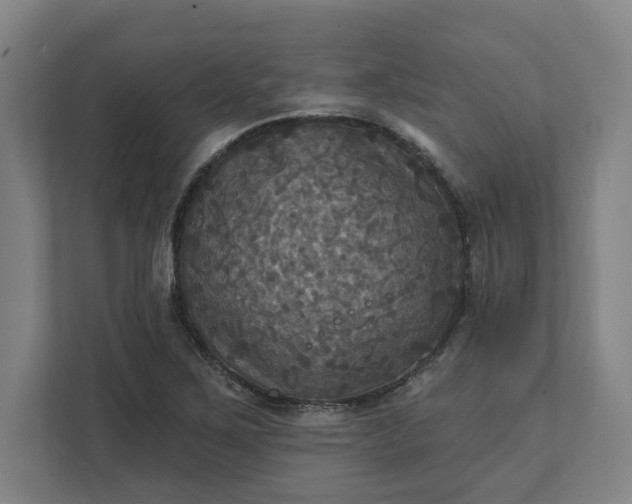 X0000112031267200908171444
