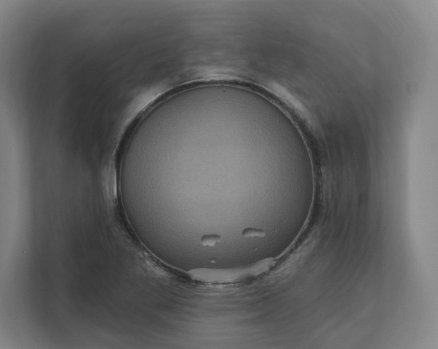 X0000112031269200908171444