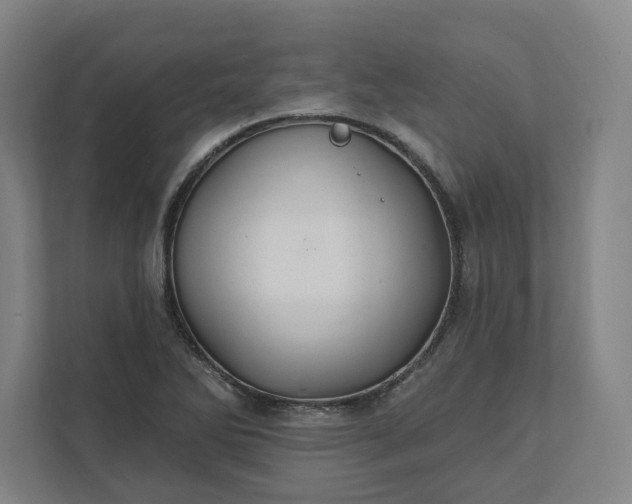 X0000112031270200908171444