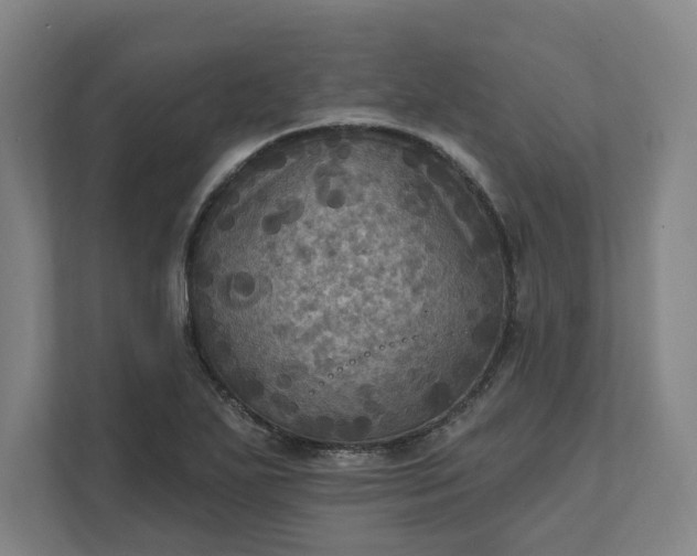 X0000112031271200908171444