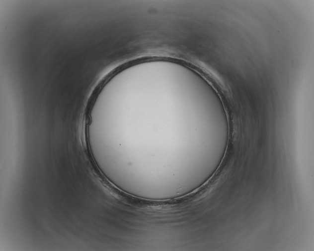 X0000112031272200908171444