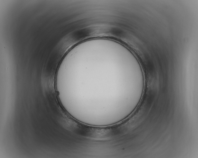 X0000112031273200908171444