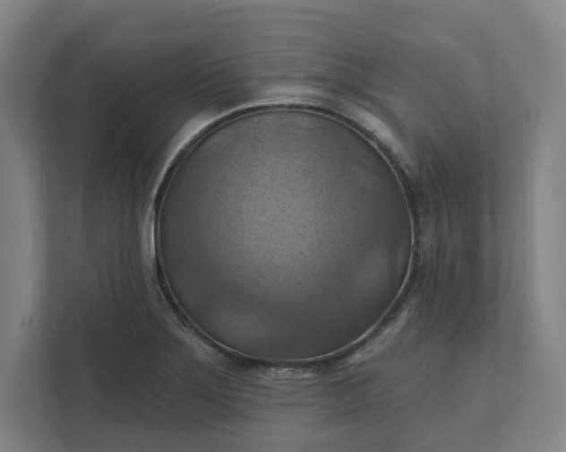 X0000112031275200908171444