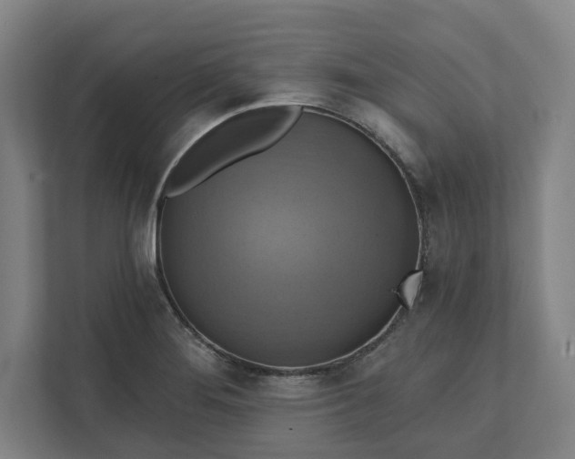 X0000112031276200908171444
