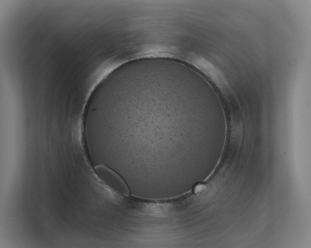 X0000112031277200908171444