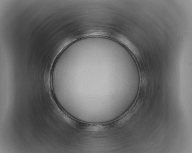 X0000112031282200908171443