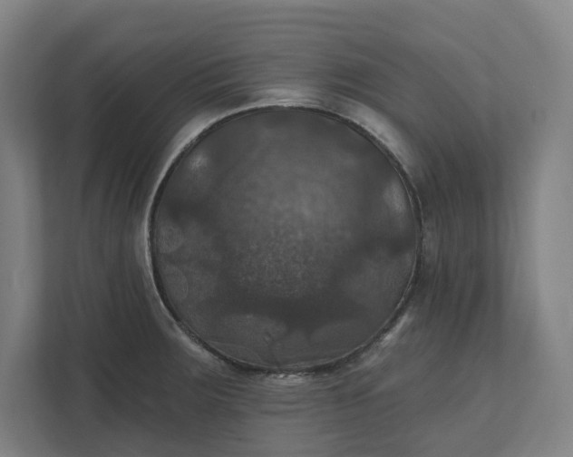 X0000112031283200908171443