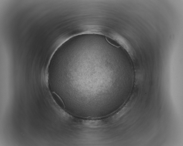 X0000112031284200908171443