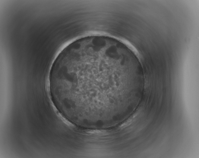 X0000112031287200908171443
