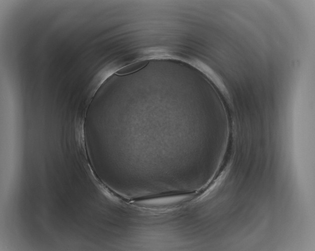 X0000112031289200908171443