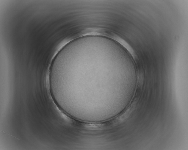 X0000112031290200908171443