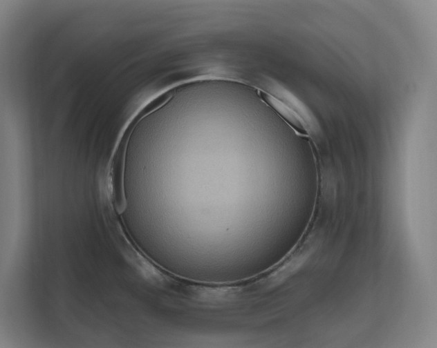 X0000112031292200908171443