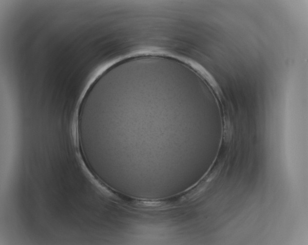 X0000112031295200908171443
